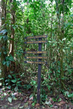 Alajuela Eyaleti, Kosta Rika - 19 Kasım 2024 - Tenorio Volkan Ulusal Parkı 'ndaki yağmur ormanları boyunca yol                               