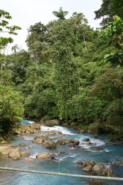 Alajuela Eyaleti, Kosta Rika - 19 Kasım 2024 - Tenorio Volkan Ulusal Parkı 'ndaki Celeste Nehri                               