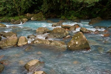 Alajuela Province, Costa Rica - November 19, 2024 - the Celeste river in the Tenorio Volcano National Park                                clipart