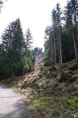 Neustift im Stubaital, Avusturya - 20 Nisan 2025 - Paskalya zamanında Stubai Vadisi 'nde Wilde WasserWeg                              