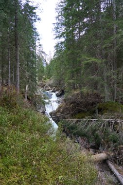 Neustift im Stubaital, Avusturya - 20 Nisan 2025 - Paskalya zamanında Stubai Vadisi 'nde Wilde WasserWeg                               