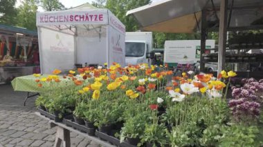 Muenster, Almanya - 3 Mayıs 2025 - İnsanlar katedral meydanındaki haftalık çiftçi pazarında sabahın erken saatlerinde