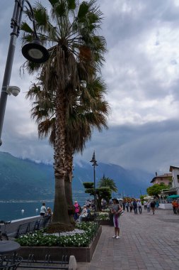 Limone Sul Garda, İtalya - 9 Mayıs 2025: Limone Sul Garda, ünlü limon ekimi kasabası                               