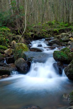 Gorbeia Doğal Parkı 'nda akıntı. Bask Ülkesi. İspanya