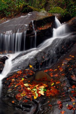 Gorbeia Doğal Parkı 'nda akıntı. Bask Ülkesi. İspanya