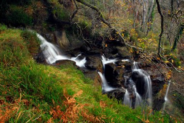 Gorbeia Doğal Parkı 'nda akıntı. Bask Ülkesi. İspanya