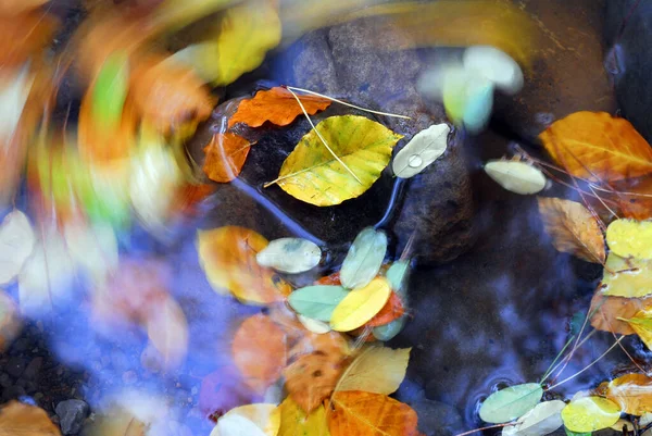 Jesienią Wirujące Liście Rzece — Zdjęcie stockowe