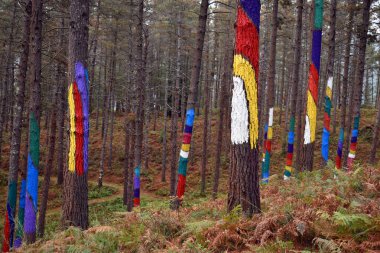 Urdaibai 'deki Oma Boyalı Ormanı. Bizkaia. Bask Ülkesi. İspanya
