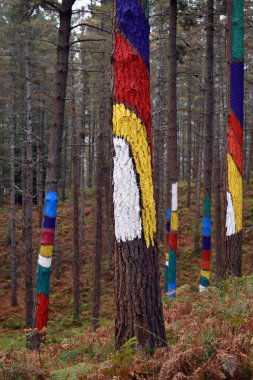 Urdaibai 'deki Oma Boyalı Ormanı. Bizkaia. Bask Ülkesi. İspanya