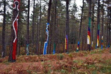Urdaibai 'deki Oma Boyalı Ormanı. Bizkaia. Bask Ülkesi. İspanya