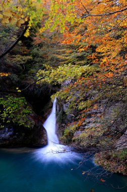 Urederra Nehri 'nin sonbahar resmi, Doğal Rezerv. Navarre. İspanya