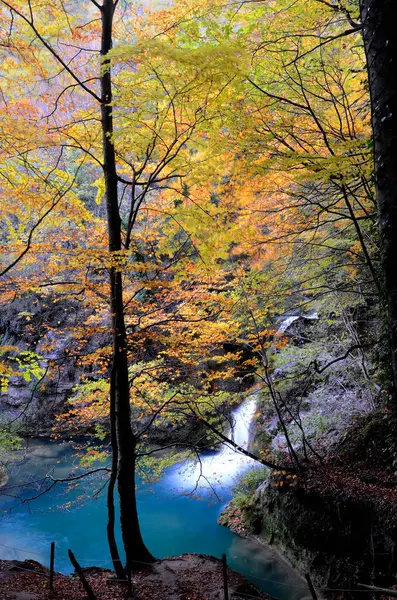 Urederra Nehri 'nin sonbahar resmi, Doğal Rezerv. Navarre. İspanya