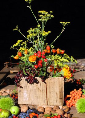 Sonbahar vahşi meyveleri kestane, ceviz, böğürtlen, gül kalçası, mürver, yaban mersini ve diğer baharatlarla dolu