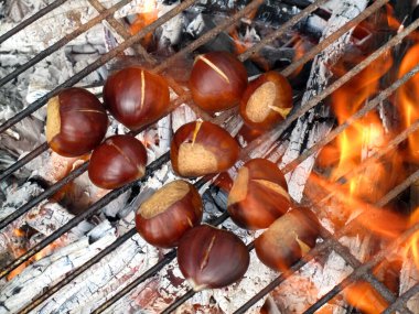 Bir grup kestane (Juglans regia) ızgarada kızartılıyor.   