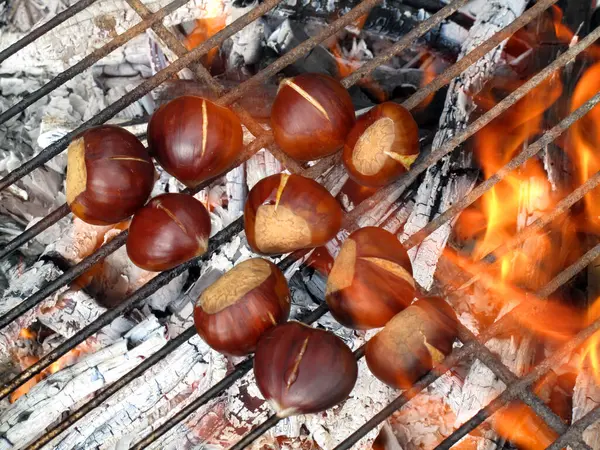 Bir grup kestane (Juglans regia) ızgarada kızartılıyor.   