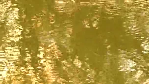 川面の太陽光の反射 チェンマイタイ — ストック動画