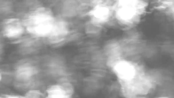 川の中の太陽光の反射 モノクロ チェンマイ — ストック動画