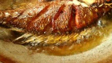 Tavada tilapia balığı kızartıyorum, Chiangmai Tayland 'da..