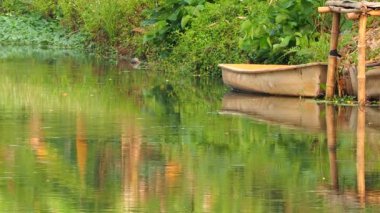 Kanal manzaralı, küçük bir tekne, Chiangmai Thailand kırsalında.