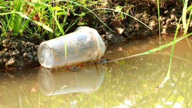 Plastik şişe Tayland 'ın Chiangmai eyaletinde nehirde yüzüyor..