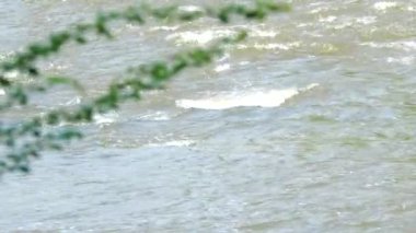 Weir 'da sular akıyor, Chiangmai Tayland tarafında..