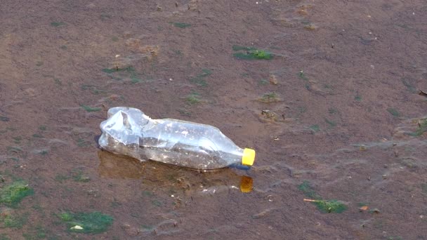 Botella Plástico Flota Río Seco Provincia Chiangmai Tailandia — Vídeo de stock