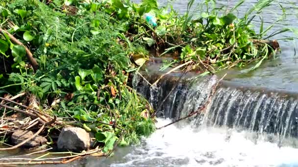 泰国清迈省韦尔河上漂浮的垃圾 — 图库视频影像