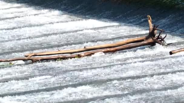 Água Está Fluindo Weir Lado País Chiangmai Tailândia — Vídeo de Stock