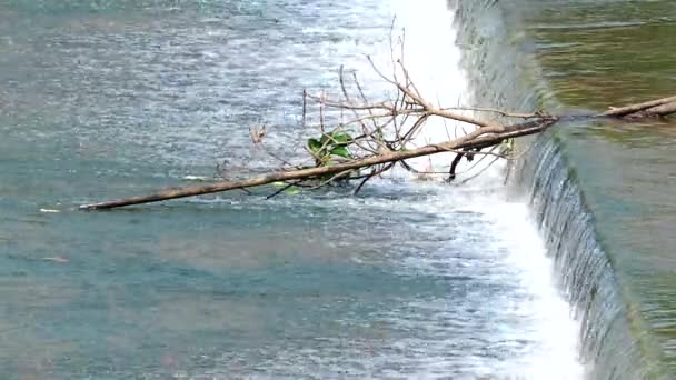 Vatten Rinner Weir Land Sida Chiangmai Thailand — Stockvideo