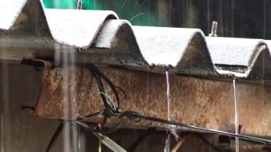 Çatıya yağmur yağıyor, Chiangmai Tayland.