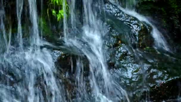 Vattenfall Trädgården Chiangmai Provinsen Thailand — Stockvideo