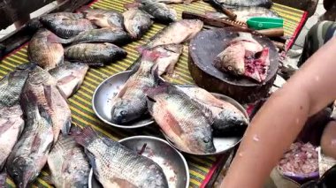 Balıkçı, Chiangmai Tayland pazarında balık doğruyor..