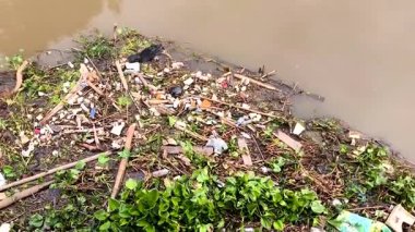 Nehirde çöp var.