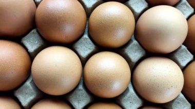 Yumurtalar yumurta tepsisinde, Chiangmai Tayland 'da..