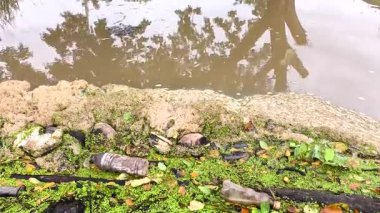 Nehirde çöp ve yabani otlar, Chiangmai Tayland.