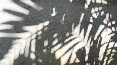 Duvarda gölgeler bırakır, Chiangmai Tayland açıklarında..