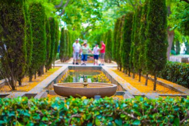 Büyüleyici Şehir: Tarihi Büyüyü Kucaklamak