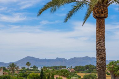 Denizin Huzuru: Büyüleyici Bir Tatil Köyü Kaçışı