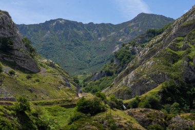 Ulusal Park Harikalar Diyarı 'ndaki Büyük Dağlar ve Bereketli Orman