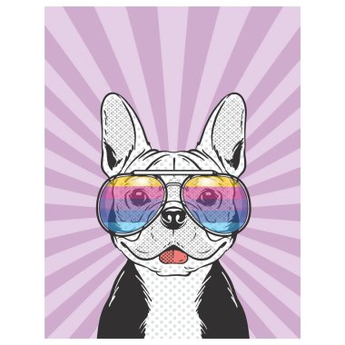 Sevimli Köpek Spor Gözlükleri: Oyuncu ve Eğlenceli Bir Portre