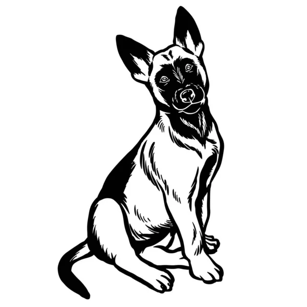 Ilustración Del Pastor Alemán Majestuoso Retrato Excelencia Canina — Vector de stock