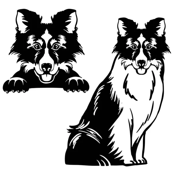 Иллюстрация Австралийской Овчарки Энергичная Красивая Собака — стоковый вектор