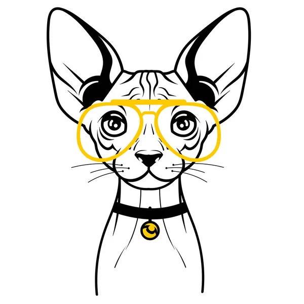 Whimsical Cat Glasses Fun Charming — стоковый вектор