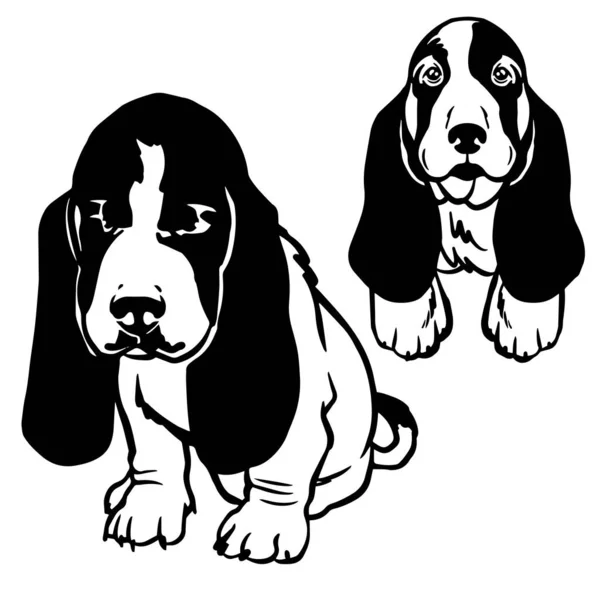 Illustration Eines Niedlichen Basset Hundewelpen Liebenswerter Kleiner Hund — Stockvektor