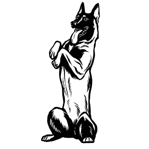 Ilustración Del Pastor Alemán Majestuoso Retrato Excelencia Canina — Vector de stock