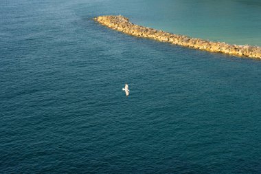 Dalgalı Sunny Beach: Sörf ve Rahatlama İçin Mükemmel Yer