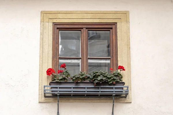 Ένα Παράθυρο Ξύλινα Πλαίσια Κόκκινα Λουλούδια Στο Περβάζι Του Παραθύρου — Φωτογραφία Αρχείου