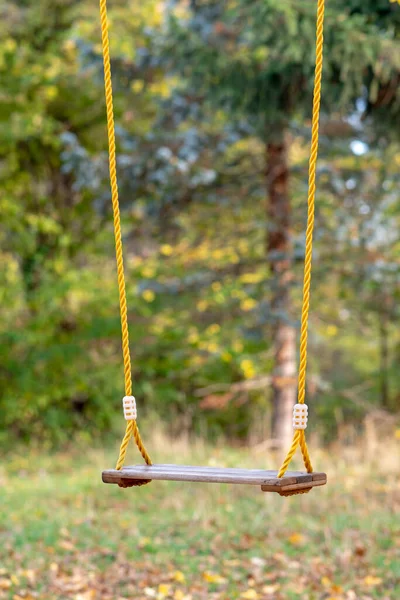 Leere Holzschaukeln Hängen Seilen Park Vor Dem Hintergrund Gelber Herbstblätter — Stockfoto