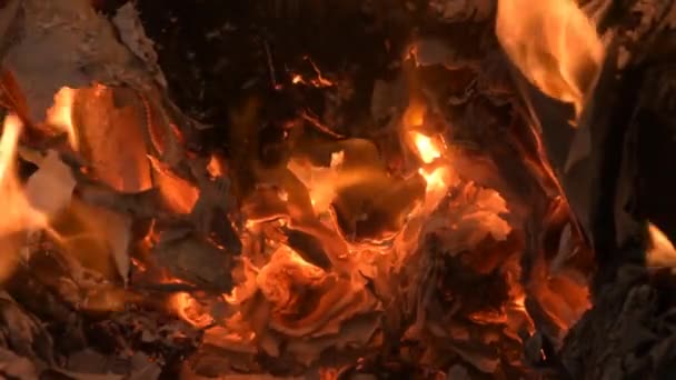 Paper Burns Coals Ashes Fall Burnt Garbage Documents Flame Fire — Stockvideo