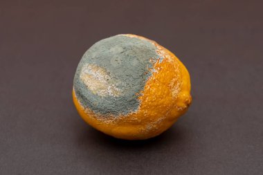 Cildinde yeşil küf olan sarı limon, bozulmuş ve çürümüş ürünler..